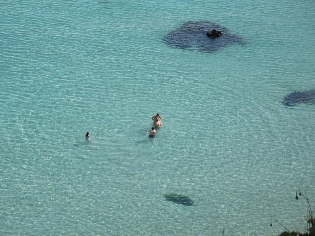 Le Portzic, Appartement Proche Plage De Morgat Crozon Eksteriør billede